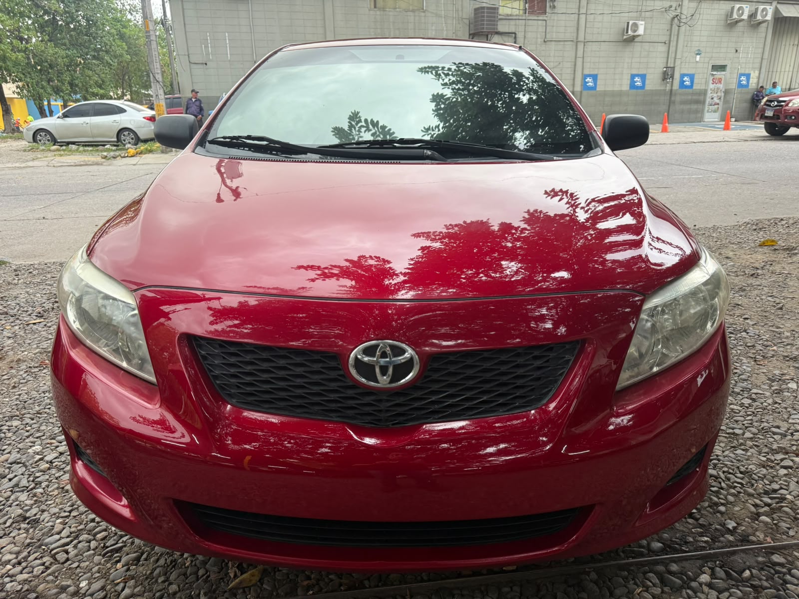 Toyota Corolla 2010 - foto 3