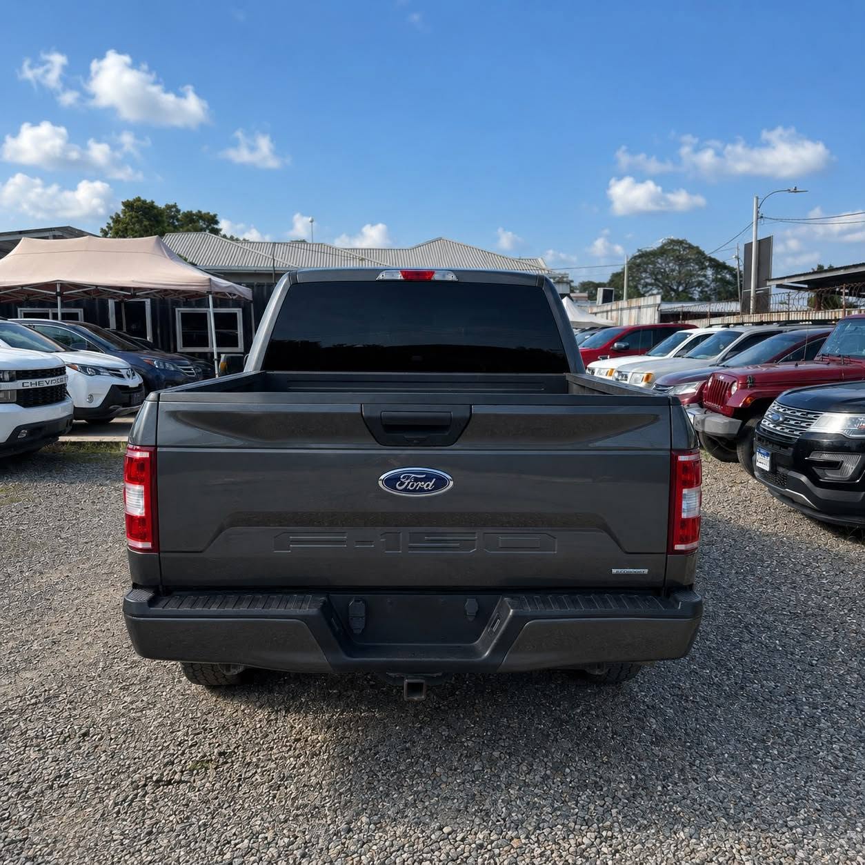 Ford F-150 SPORT 2020 - foto 4