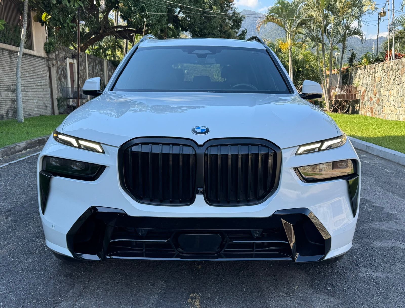 BMW X7 2024 - foto 2